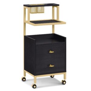 BP Arbeitswagen Friseurwagen Werkzeugwagen Salon Trolley 0029