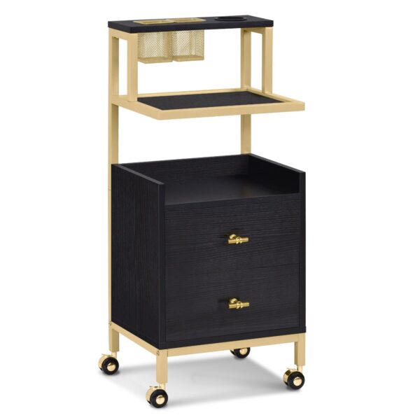 BP Arbeitswagen Friseurwagen Werkzeugwagen Salon Trolley 0029